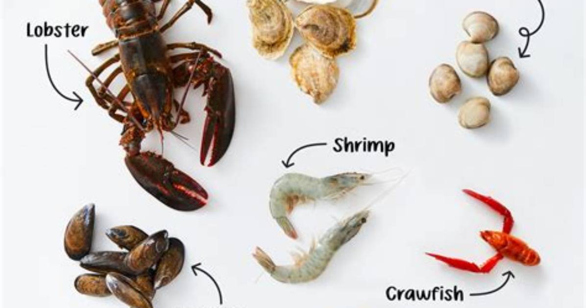 Do Shellfish Have Blood?