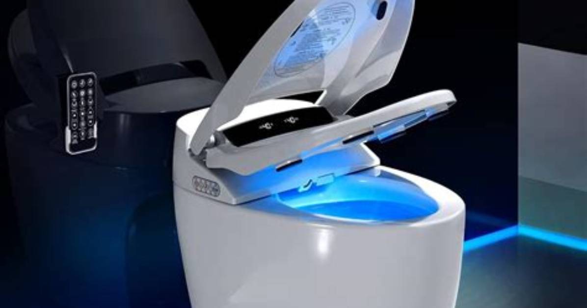 Do Smart Toilets Exist