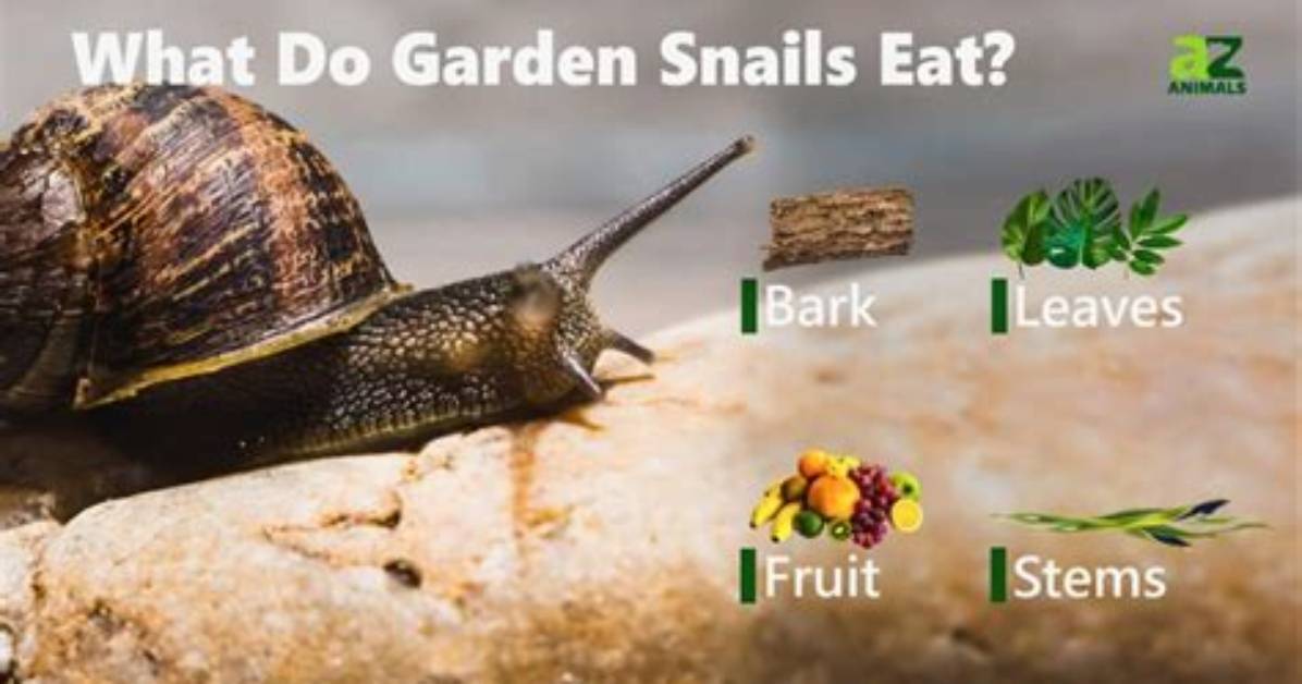 Do Snails Eat Elodea