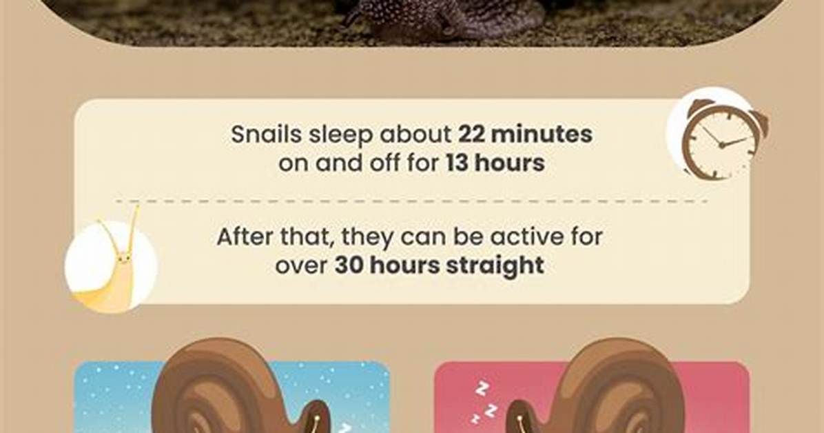 Do Snails Float When They Sleep?