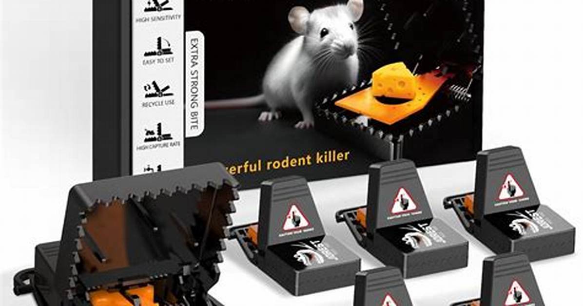 Do Snap Traps Work for Mice