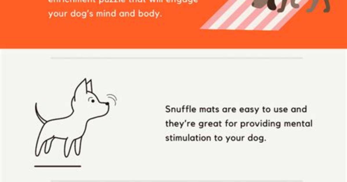 Do Snuffle Mats Work for Cats?