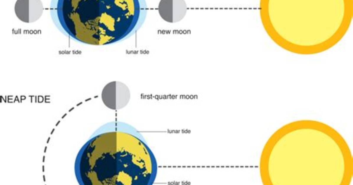 Do Spring Tides Occur at Full Moon?