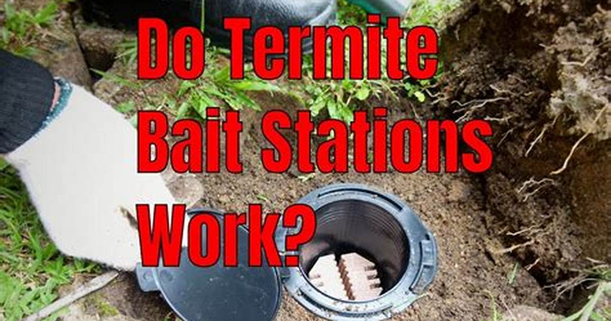 Do Termite Bait Stations Really Work