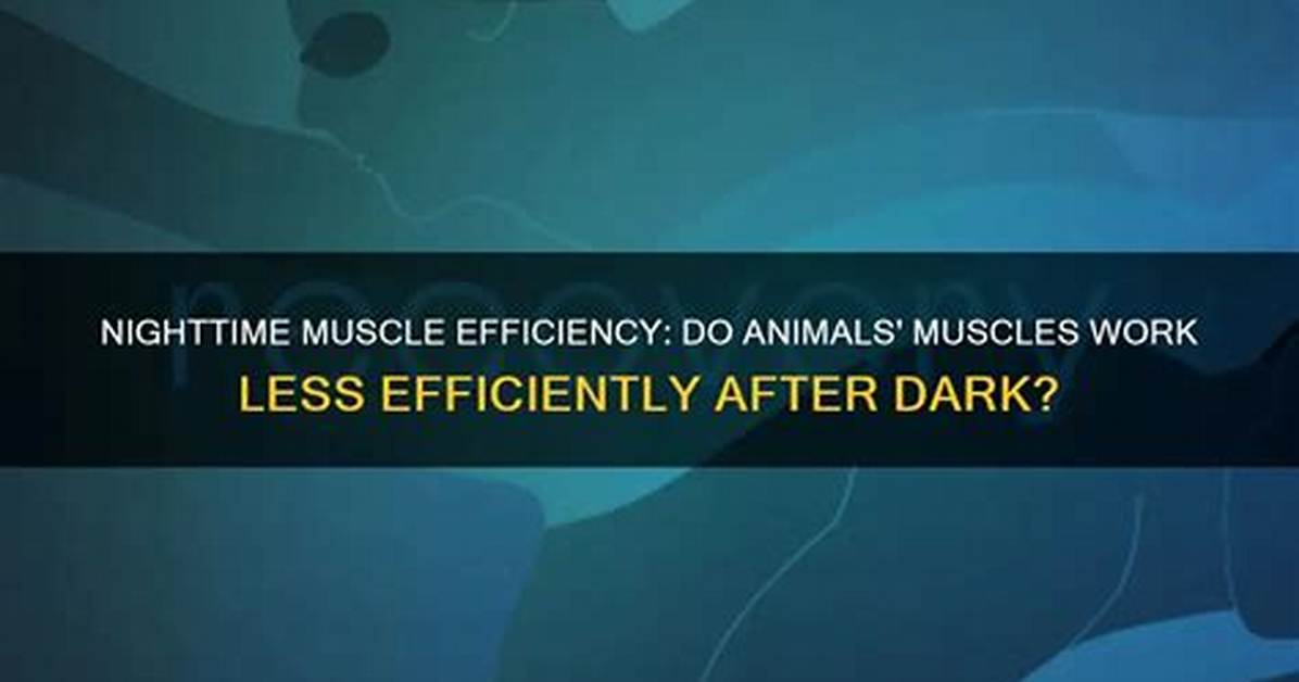Do the Animals Work as Efficiently as Jones?