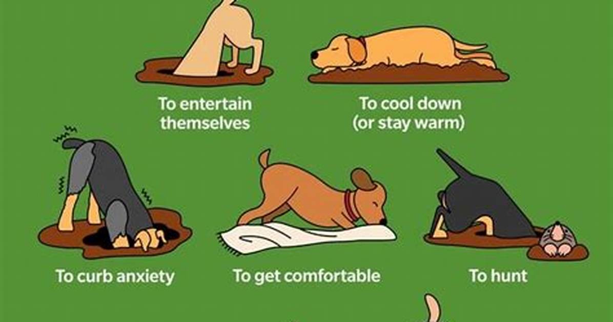 Do the Dogs Dig?