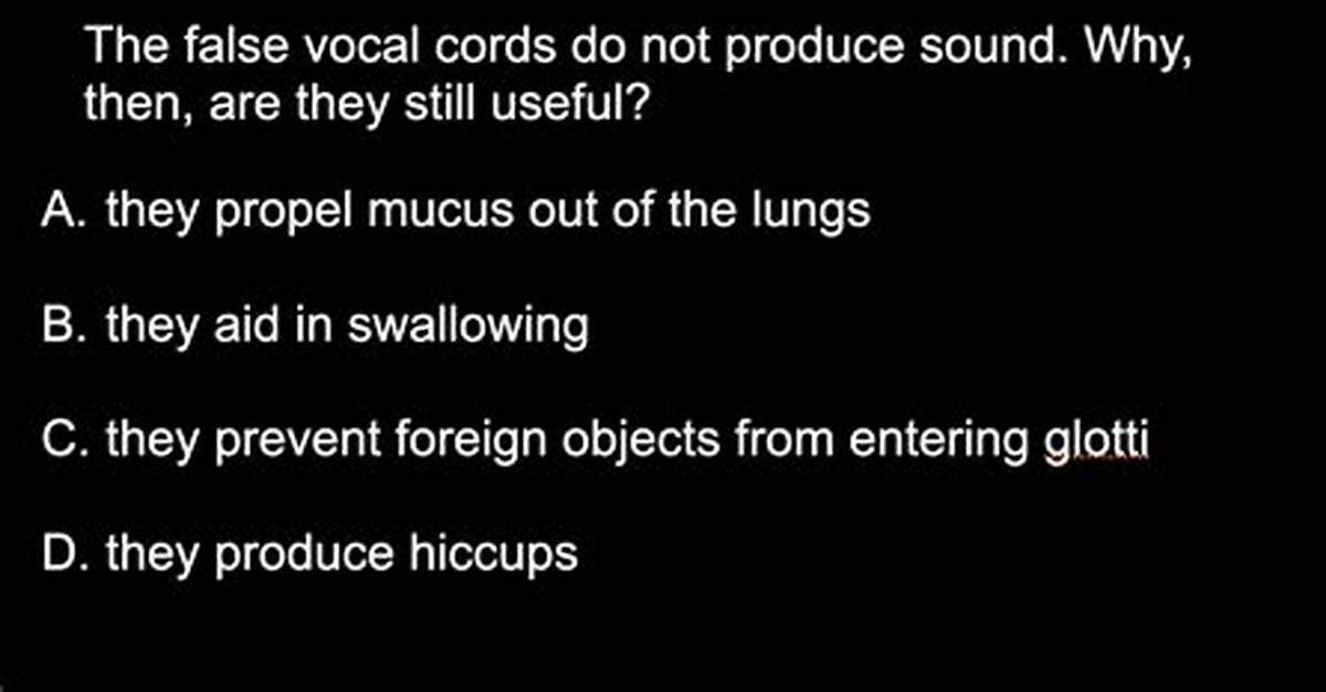 Do the False Vocal Cords Produce Sound