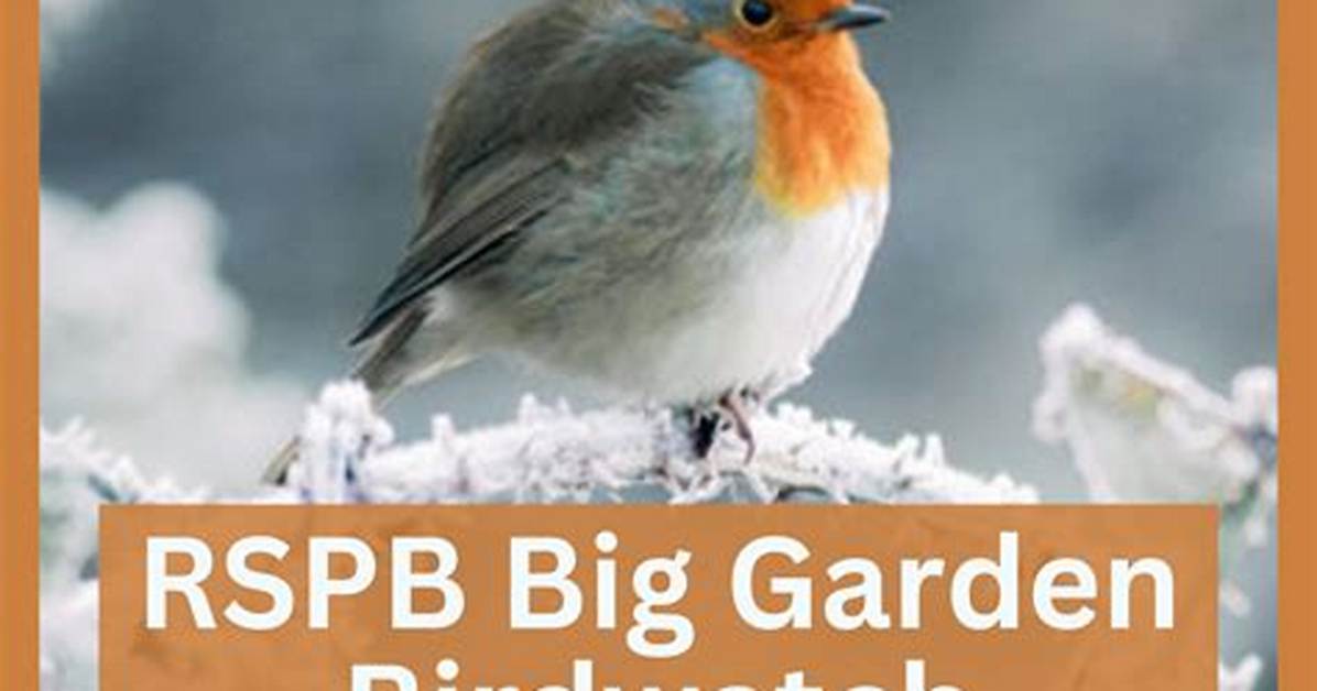 Do the Rspb Cull Birds?