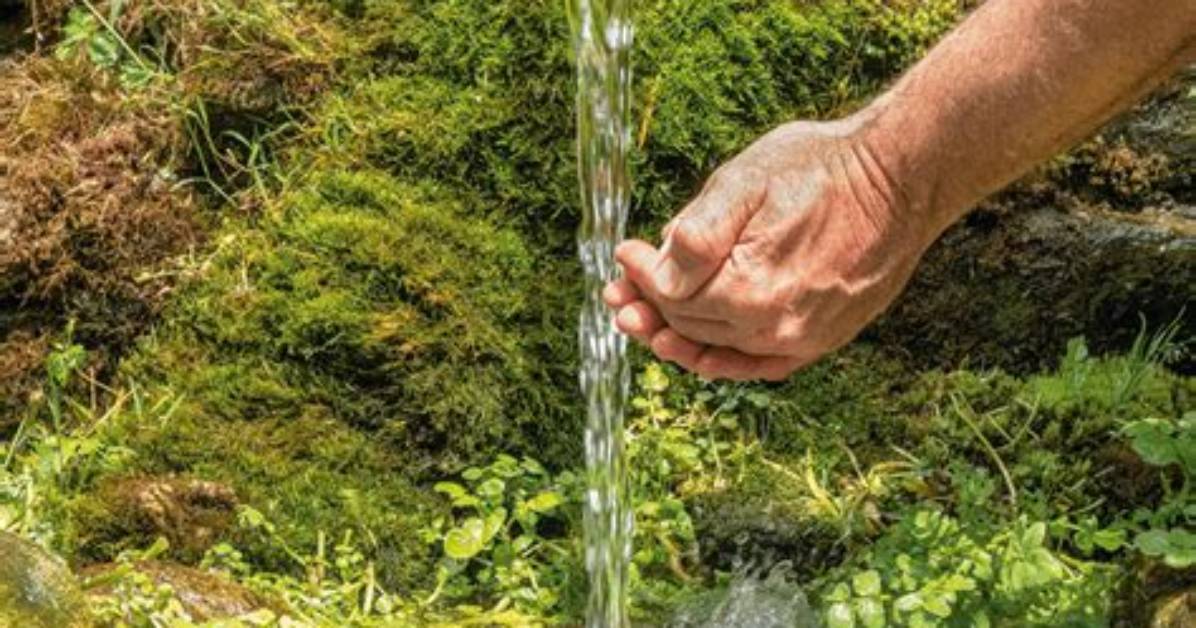 Do They Clean Spring Water?