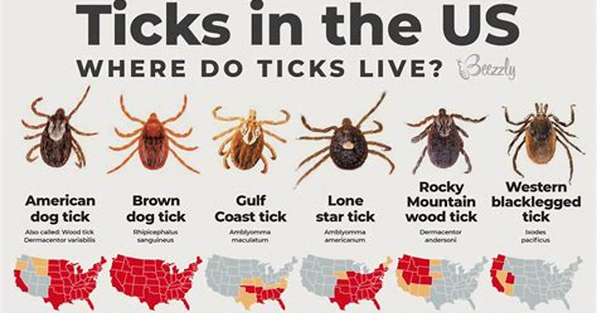 Do Ticks Drown