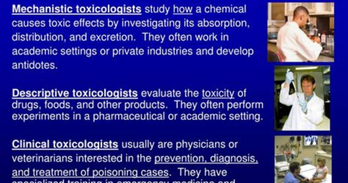 Do Toxicologists See Patients?