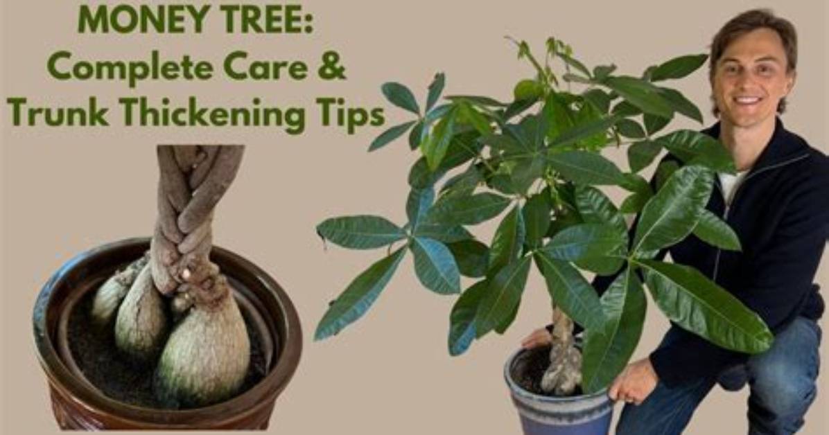 Do Tree Planters Make Money