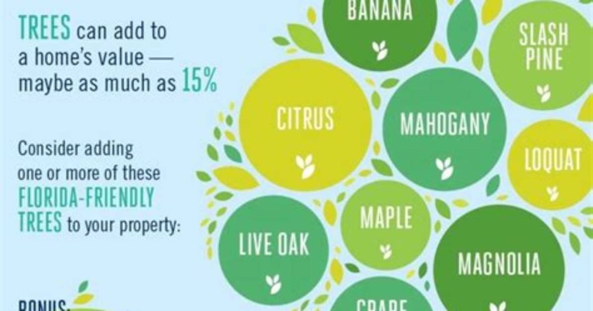 Do Trees Increase Property Value