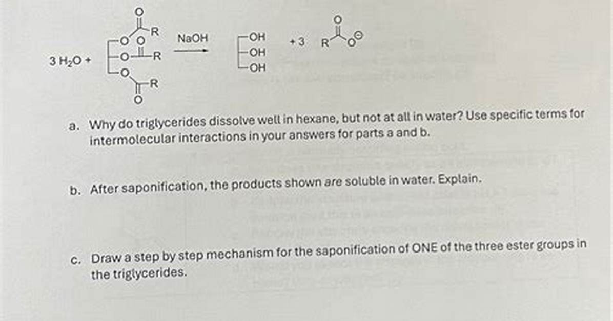 Do Triglycerides Dissolve in Water?