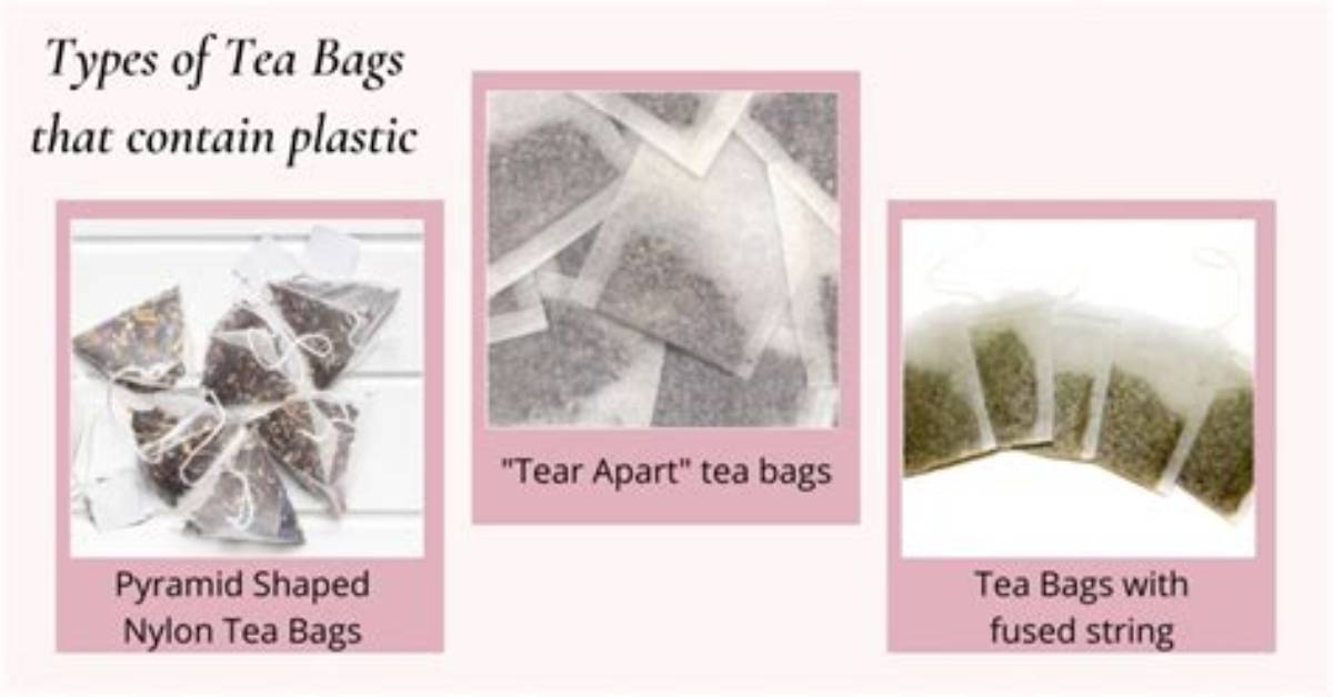 Do Typhoo Teabags Contain Plastic?