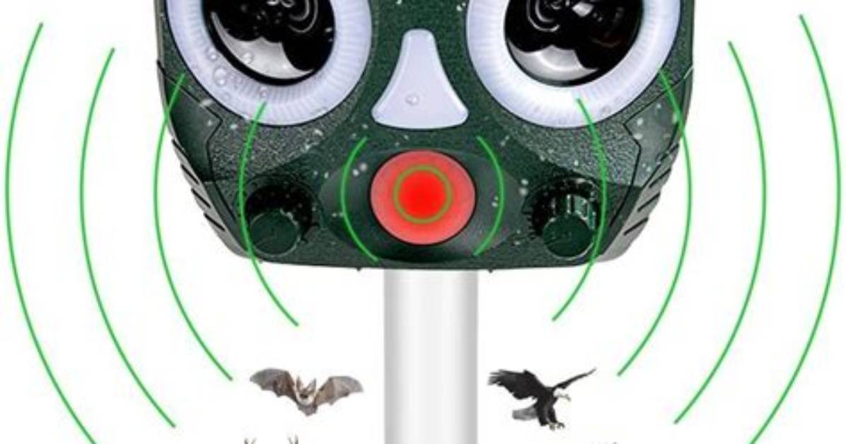 Do Ultrasonic Bird Repellers Affect Dogs