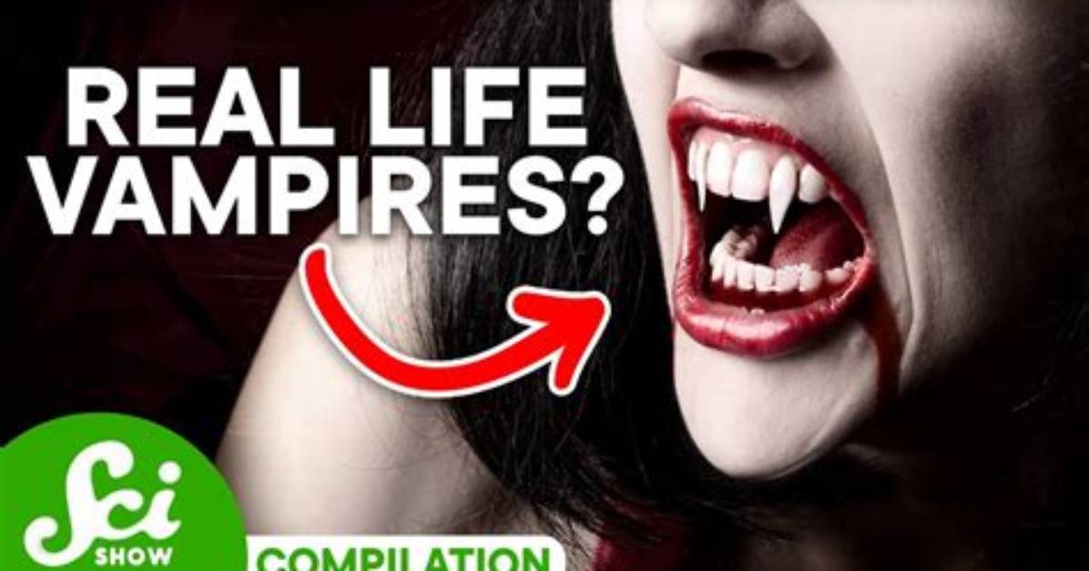 Do Vampires Have Widow's Peaks?