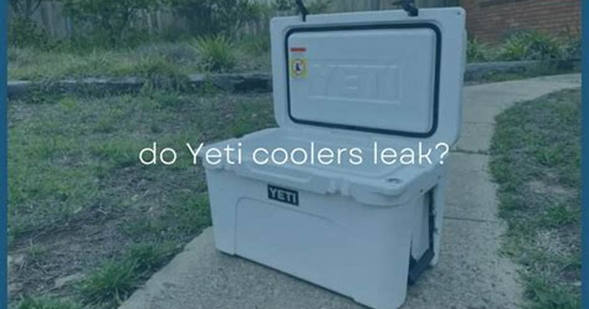 Do Water Coolers Leak?