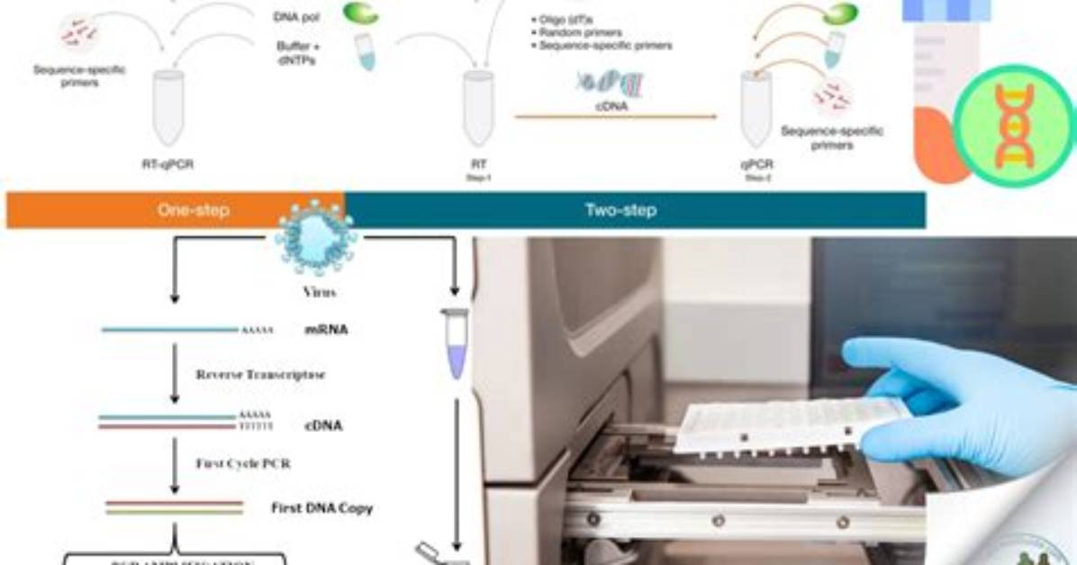 Do We Need Rt Pcr for Kerala?
