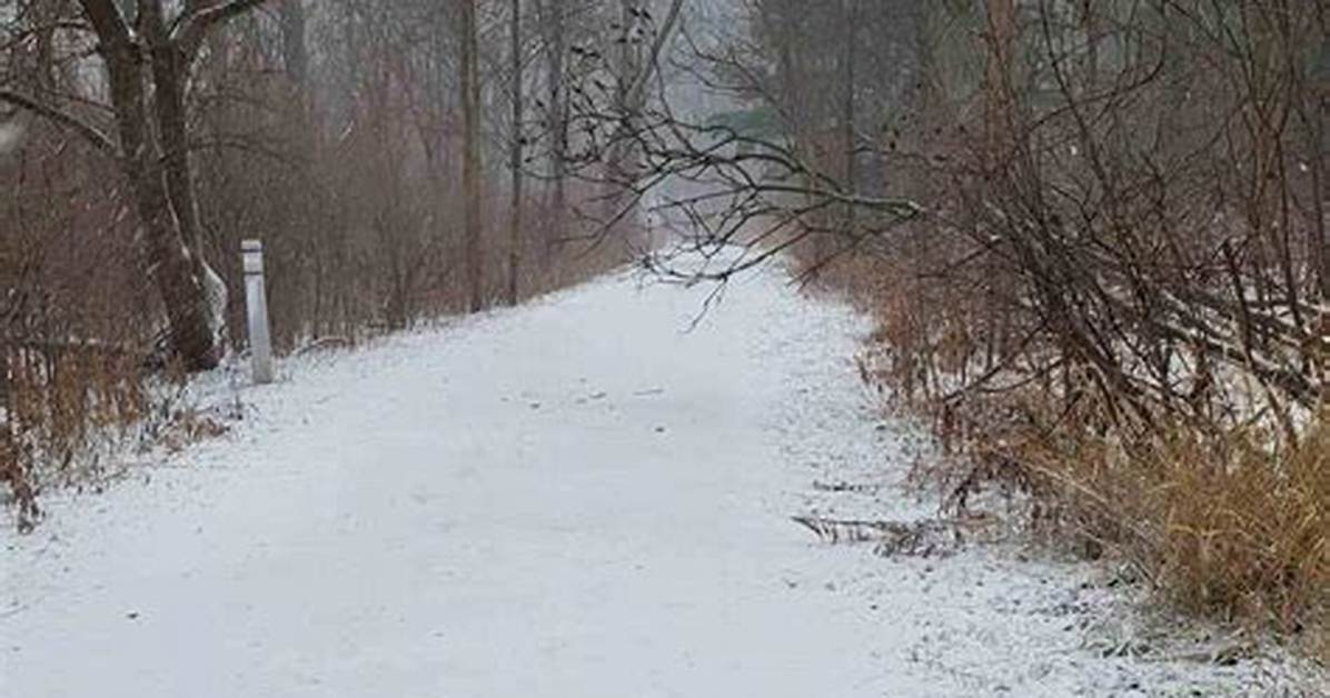 Do Wheatens Like Snow?