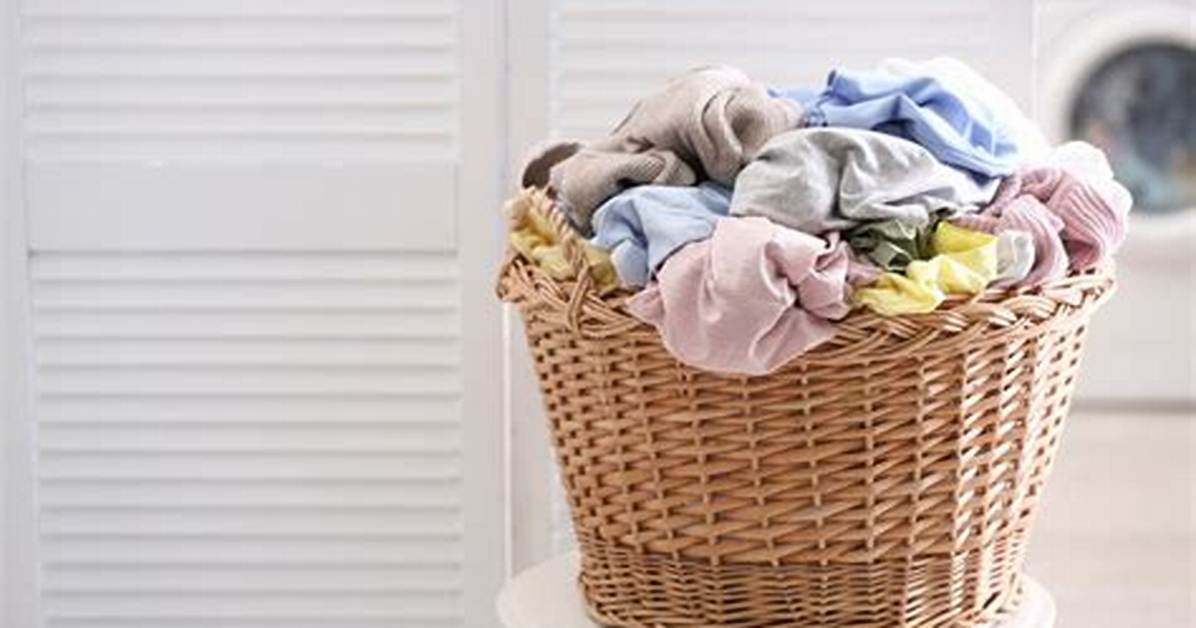 Do Wicker Baskets Attract Roaches?
