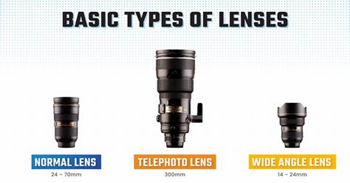Do Wide Angle Lenses Make Things Look Bigger?