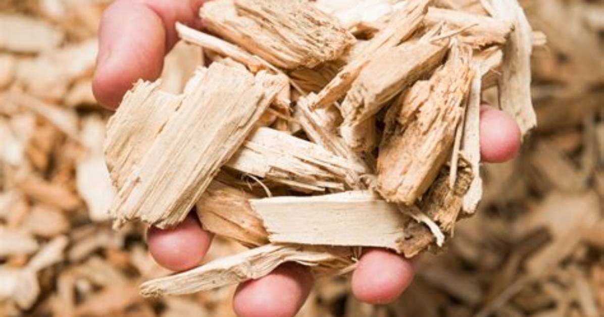Do Wood Chips Help Soil