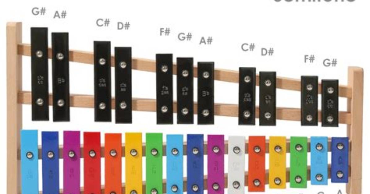 Do Xylophone Have Notes?