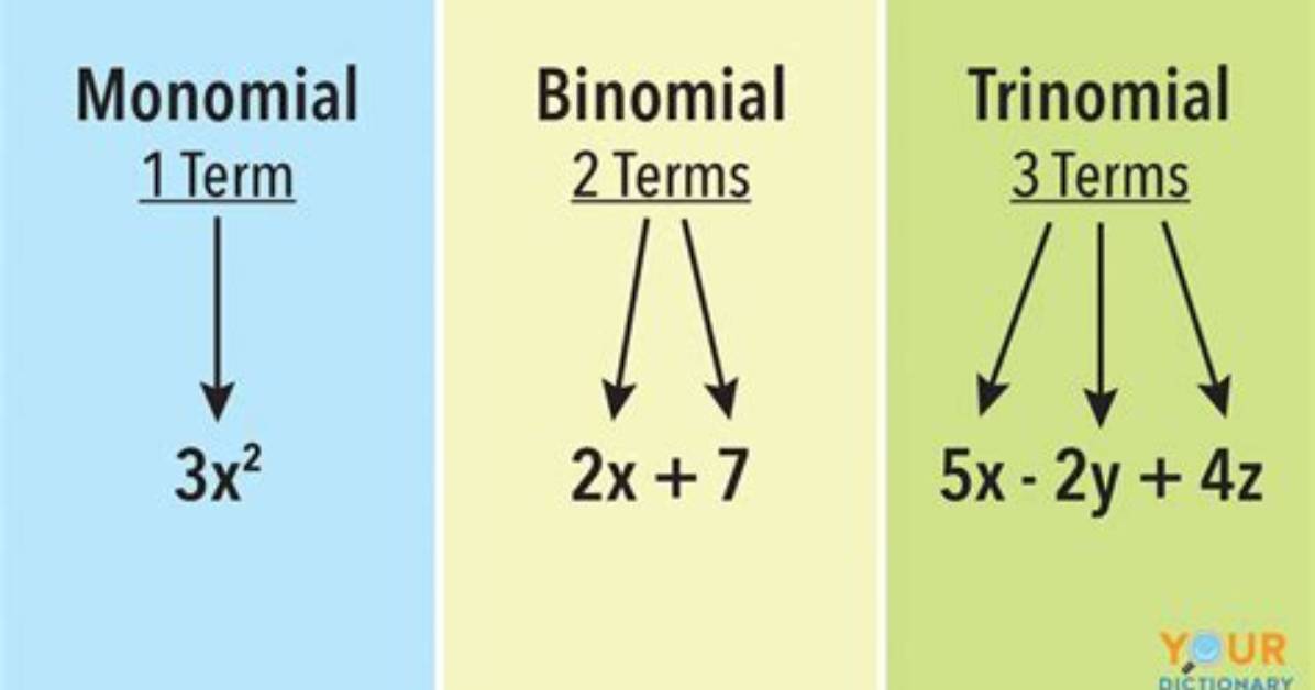 Do You Add Monomials?