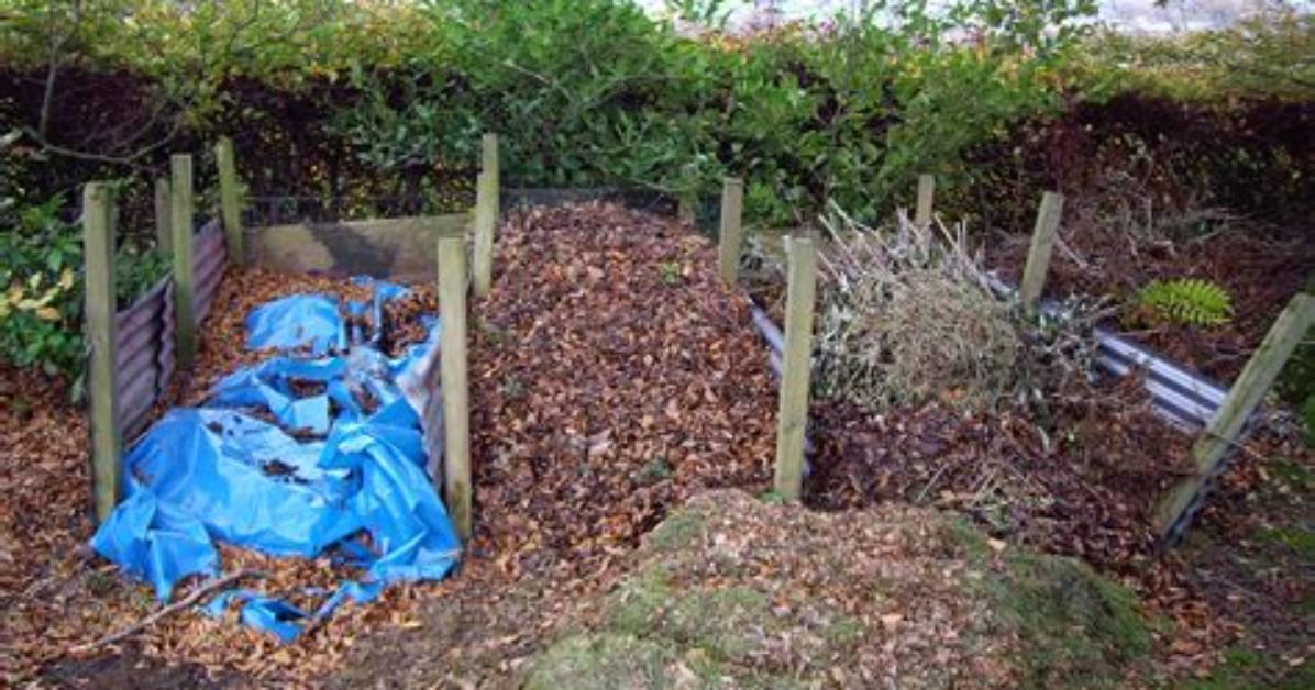 Do You Cover a Compost Heap?