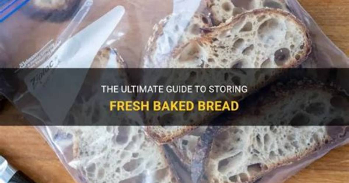Do You Cover Fresh Baked Bread?