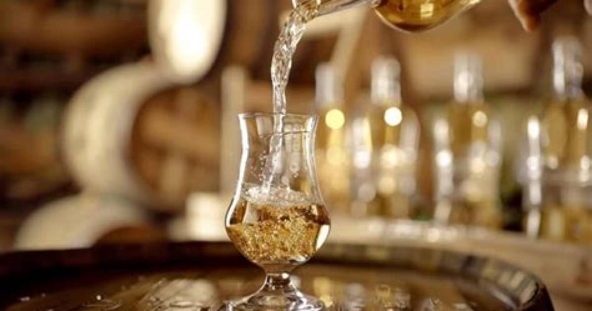 Do You Drink Grappa Neat