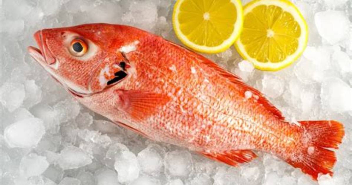 Do You Eat Snapper Skin