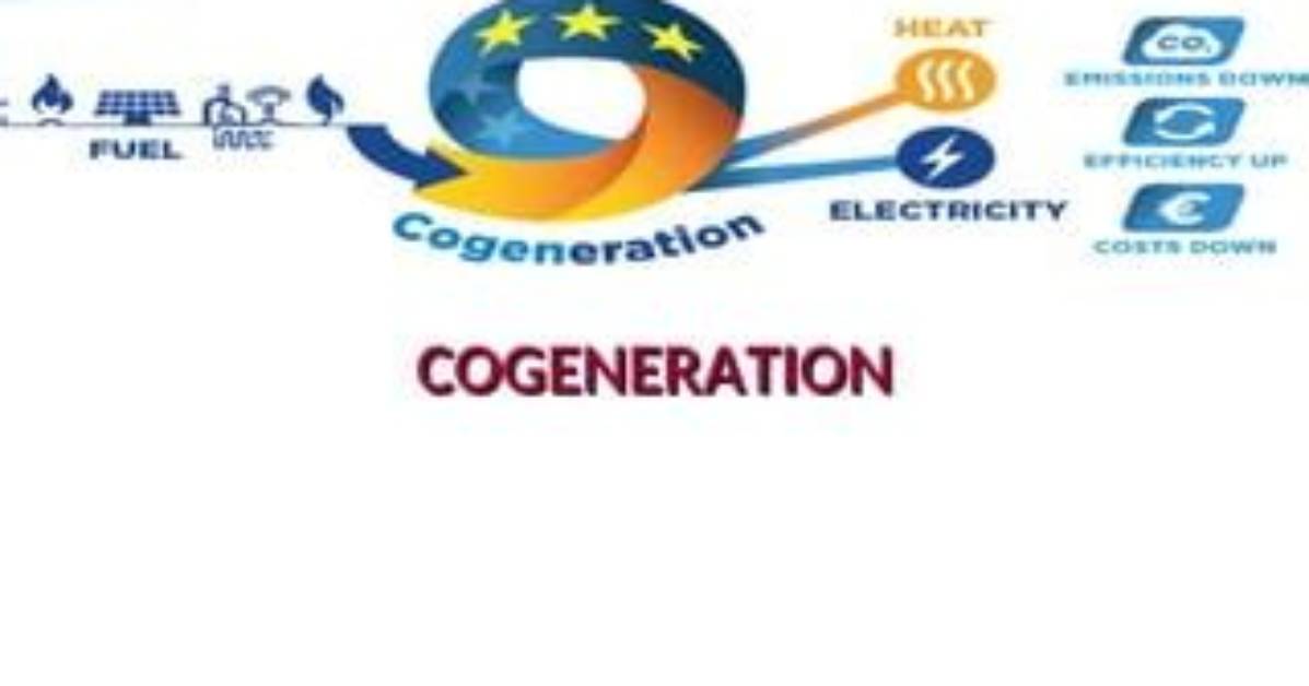 Do You Mean by Cogeneration?
