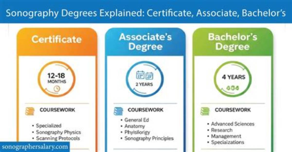 Do You Need a Degree to Be a Network Administrator?