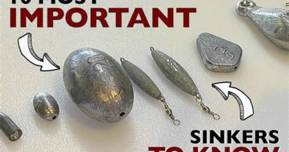 Do You Need a Sinker When Using a Lure?
