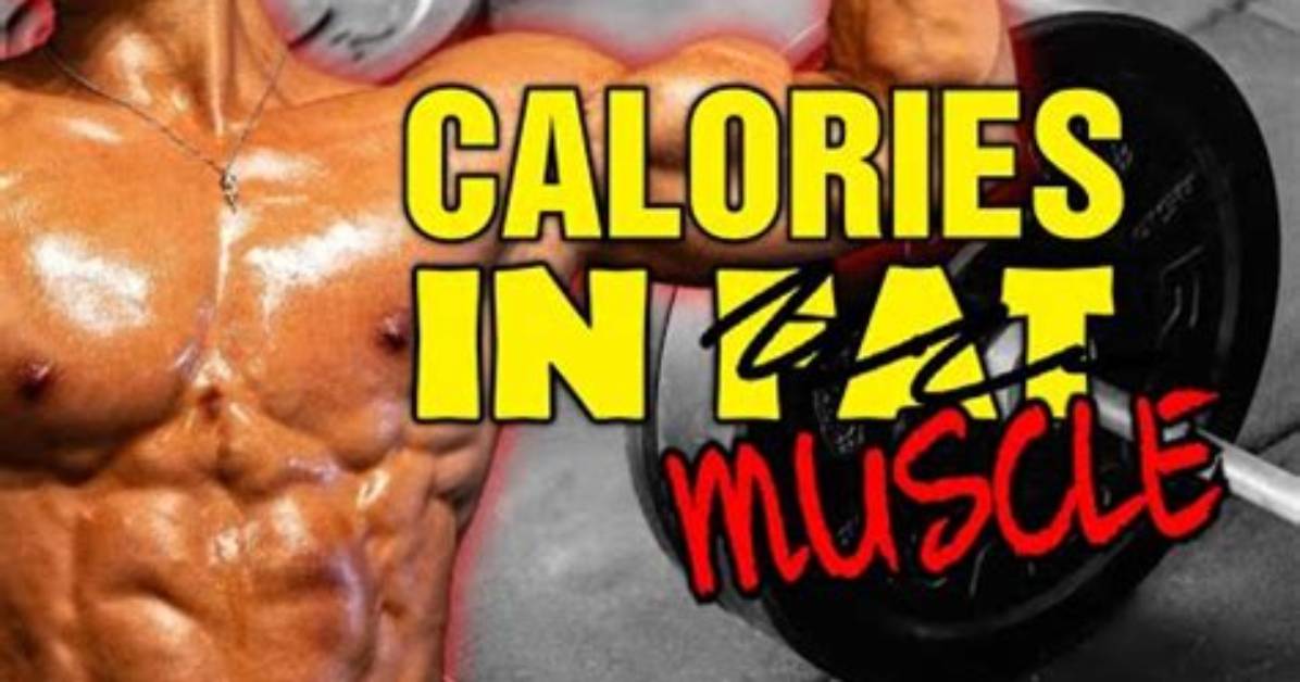 Do You Need Excess Calories to Build Muscle?