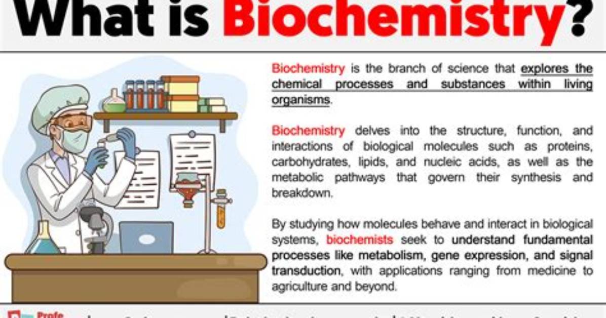 Do You Need Physics for Biochemistry?