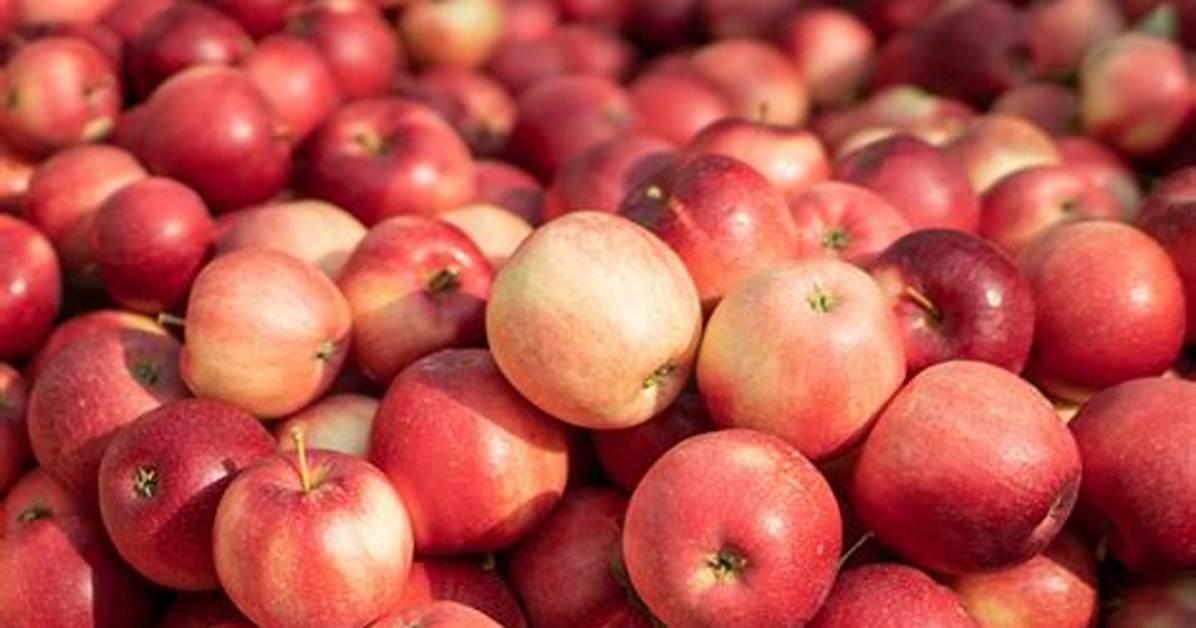 Do You Sell Apples ___ the Kilo?