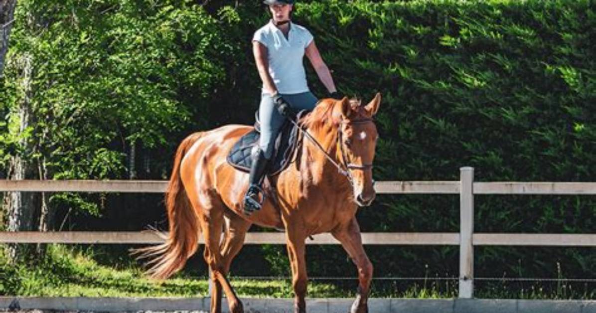 Do You Tip a Horseback Riding Instructor?