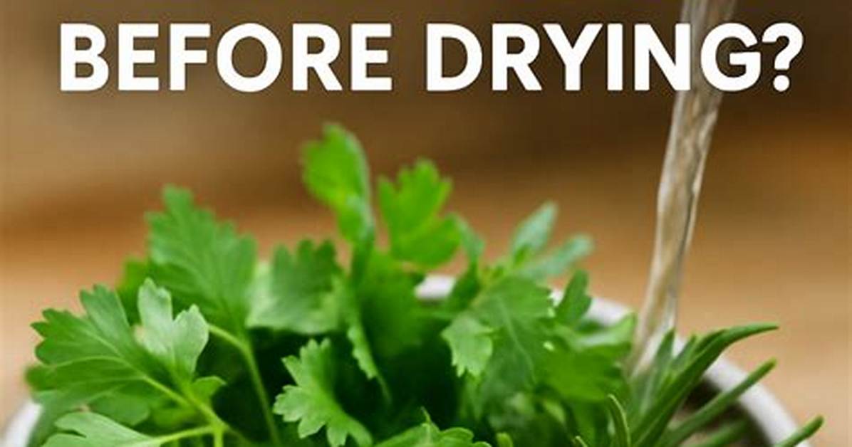 Do You Wash Herbs Before Drying?