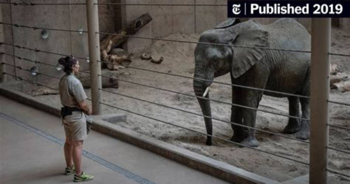 Do Zoos Rescue Animals