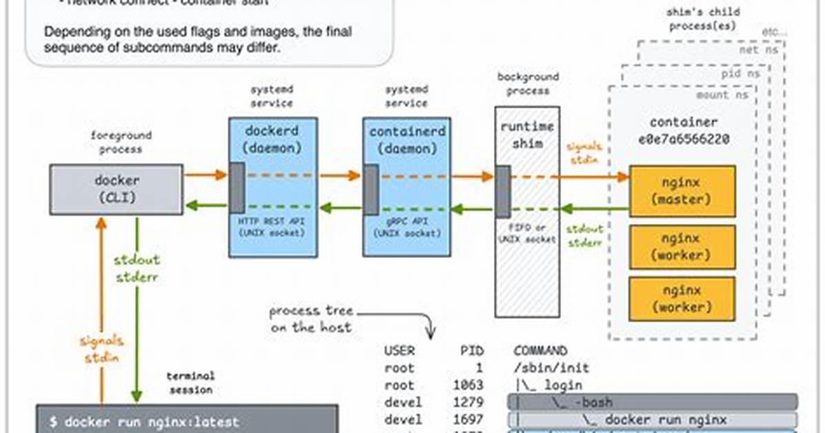 Docker Argument to a Run Echo Command