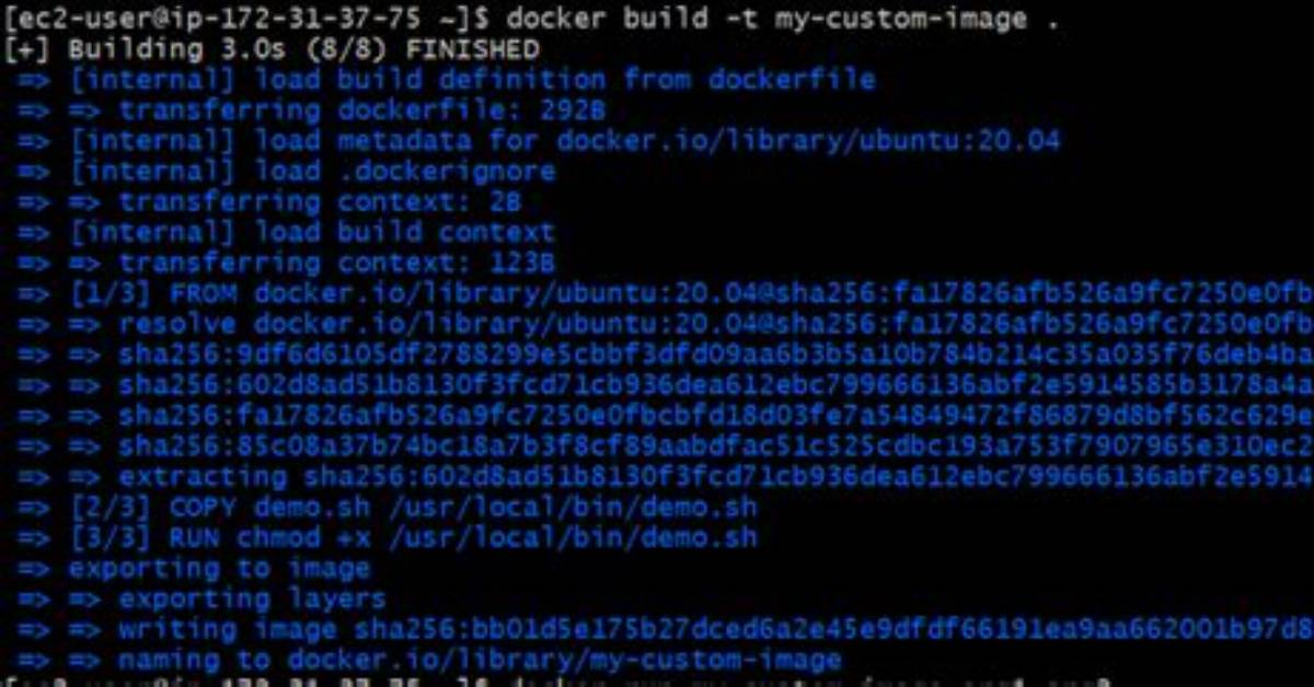 Docker Run Override Entrypoint with Shell Script Which Accepts Arguments