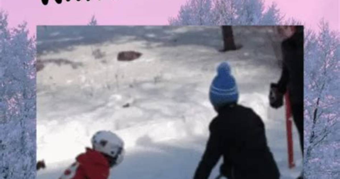 Does a Backyard Rink Kill Grass?