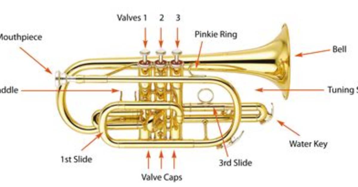 Does a Cornet Have Valves?