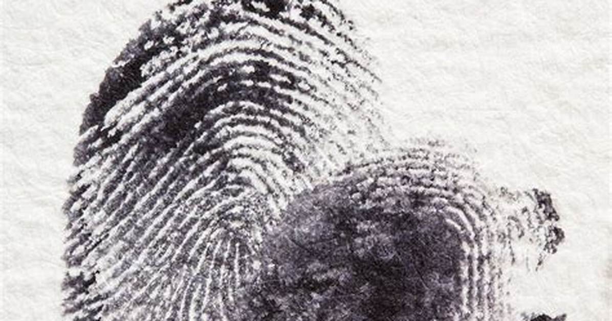Does a Dactylogram a Fingerprint?