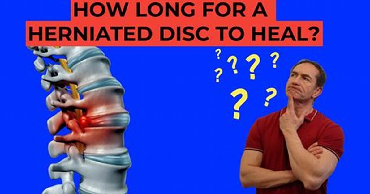 Does a Degenerated Disc Heal?