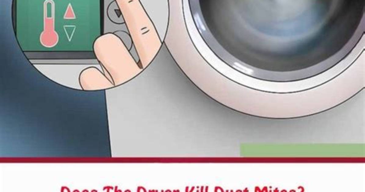 Does a Dryer Kill Allergens
