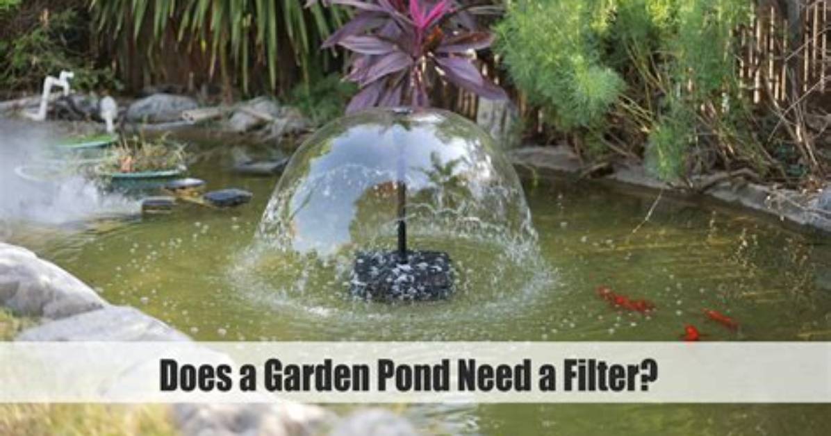 Does a Garden Pond Need a Pump